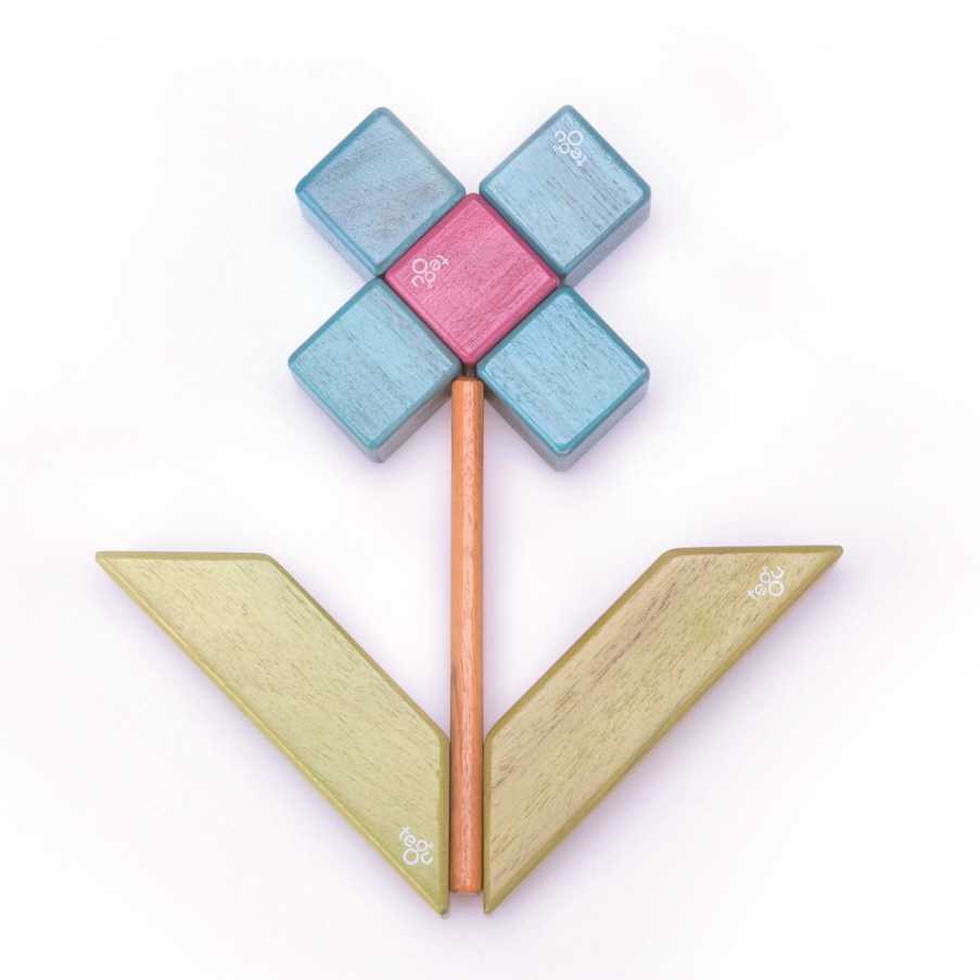 tegu, 테구