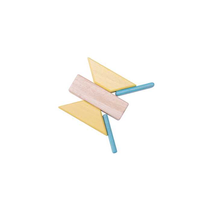 tegu, 테구